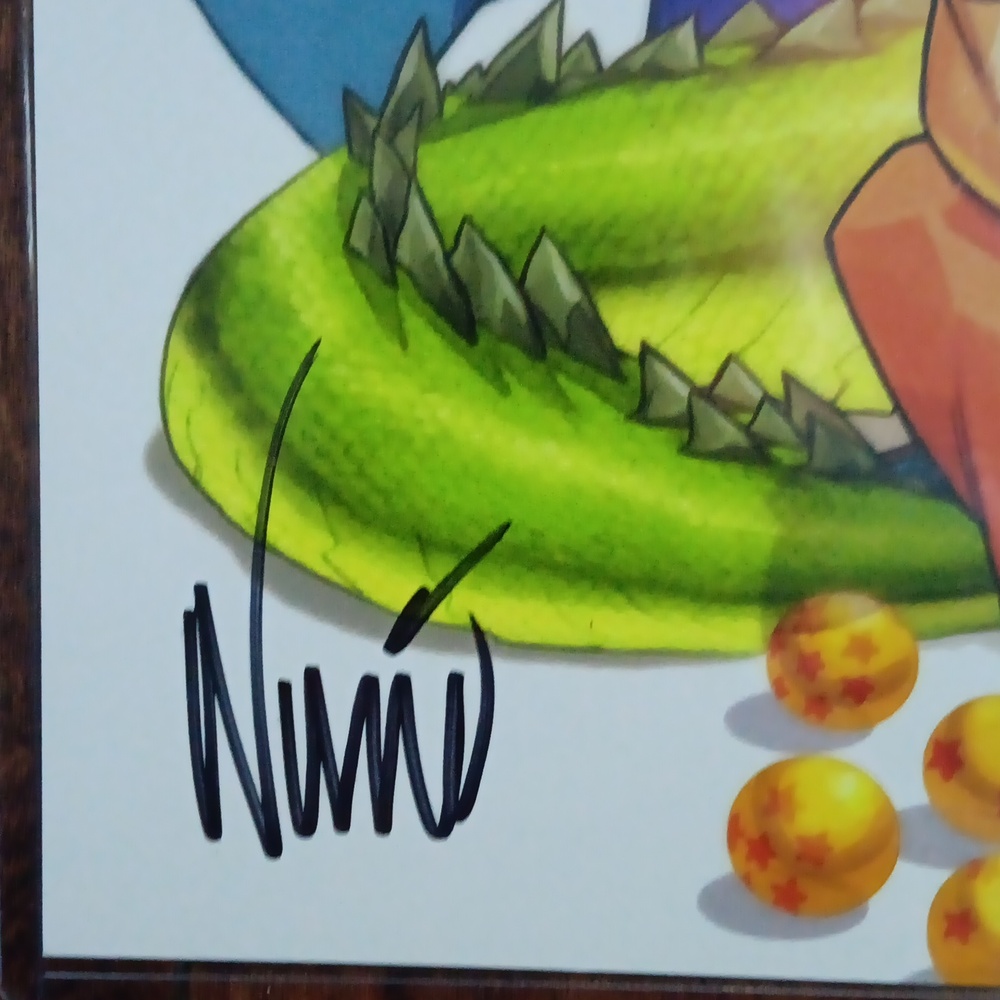Dragon Ball Z 11 X 17 Art Print Signed By Eddie Nunez With COA - Picture 2 of 3